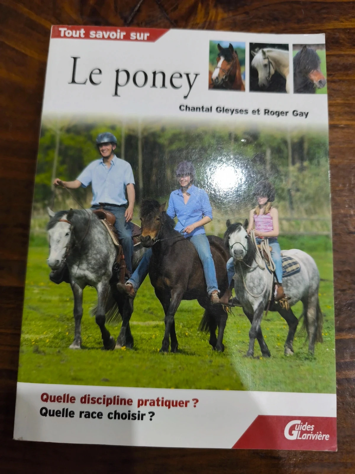Tout savoir sur le poney